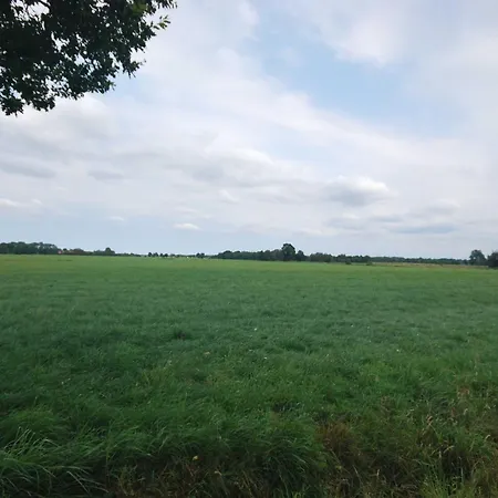 Ferienhof Wiesenblick 35519 Farm stay Uplengen